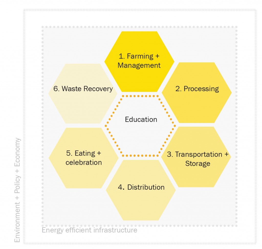 food system diagram