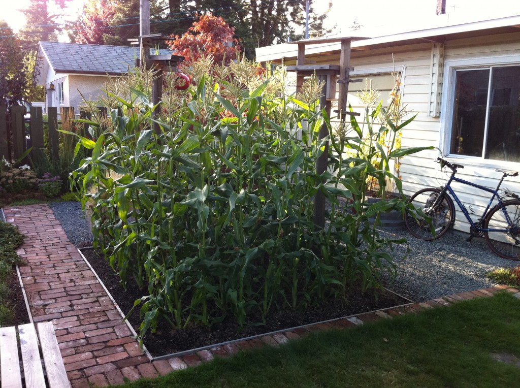 edible landscaping