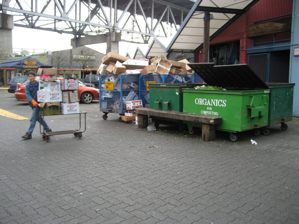 organics bin